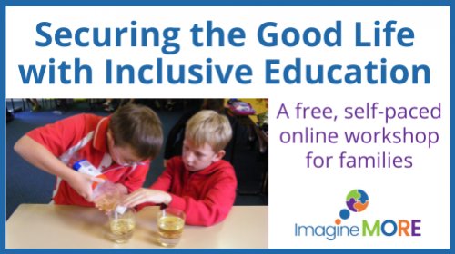 Securing the Good Life with Inclusive Education Online Works